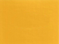 2003 Ford Chrome Yellow